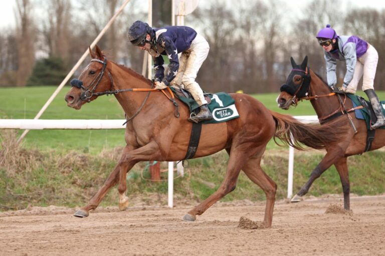 Dream Selection siegt unter Andrea Ricupa