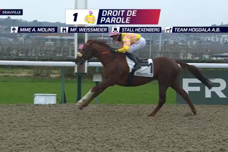 Immer wieder Hexenberg – Gewinnen ist die Parole, Nummer Elf in Frankreich