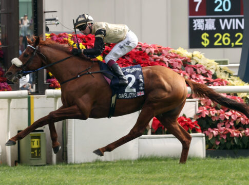 Giavellotto gewinnt die Hong Kong Vase Foto: hkjc.com