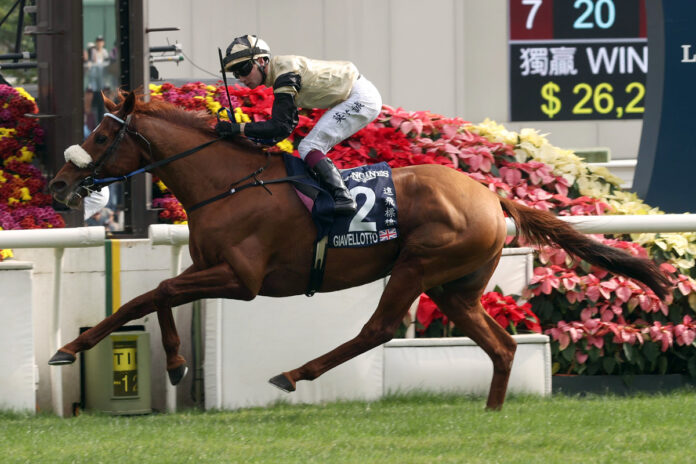 Giavellotto gewinnt die Hong Kong Vase Foto: hkjc.com