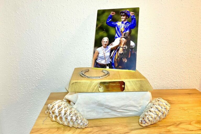 3.350€ für Kinderkrebshilfe – Fantastic Moons Hufeisen an Stauffenberg