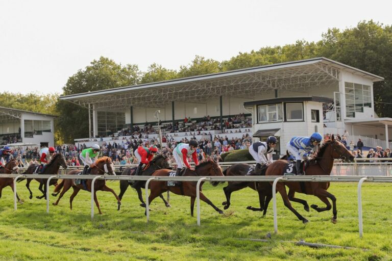 Galopp in Mülheim a.d. Ruhr