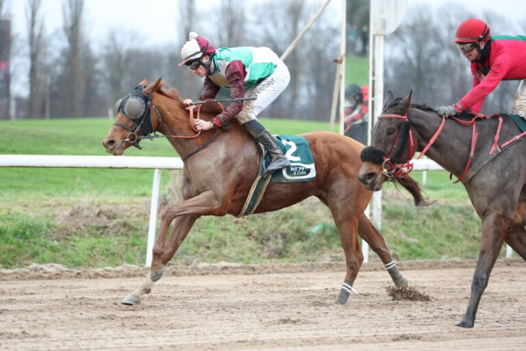 Kalajana mit erstem Sandbahnsieg