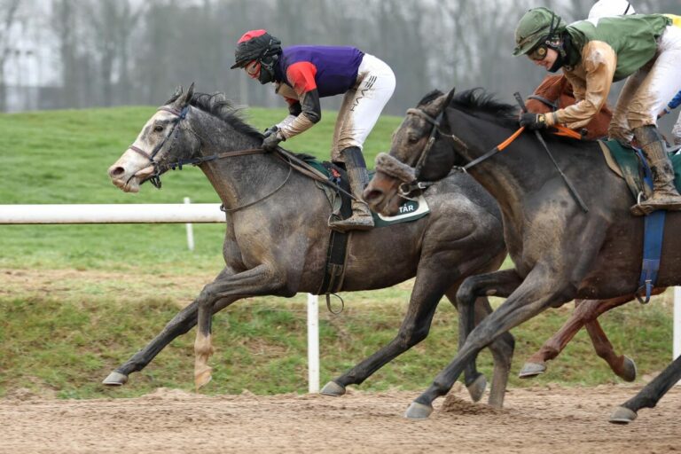 Schael geputzt – Engels mit Night Ocean vorne für Sarah Weis