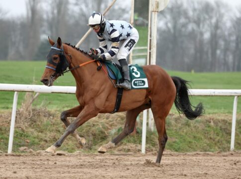 Quendolino siegt unter Thore Hammer-Hansen