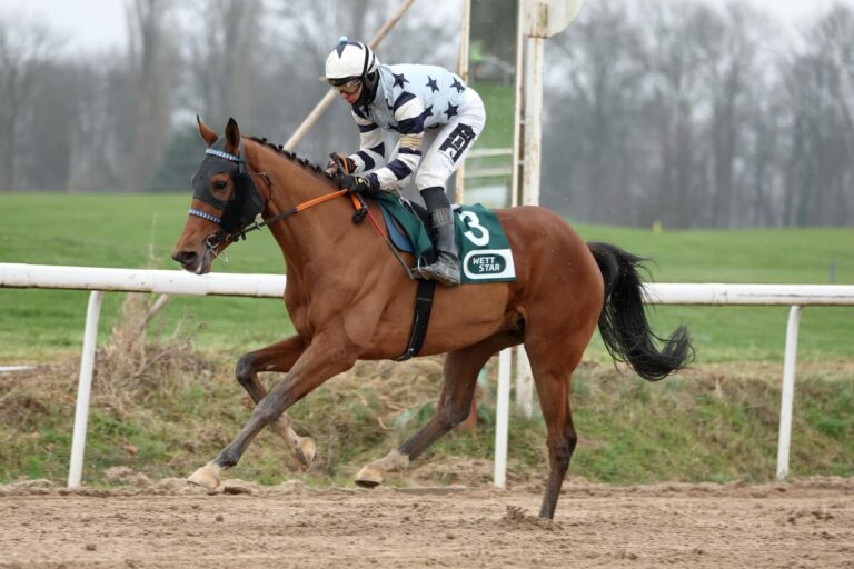 Quendolino auf und davon in neuen Farben – Zweiter Treffer in einer Woche