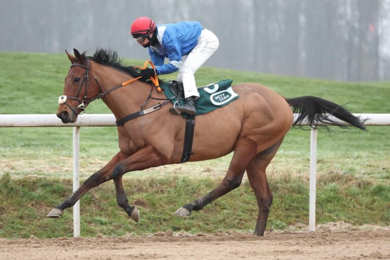 Treffer für Belgien – Tex Air ist erster Sieger des letzten Jahresrenntages