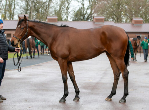 The Palace Girl Foto: Tattersalls