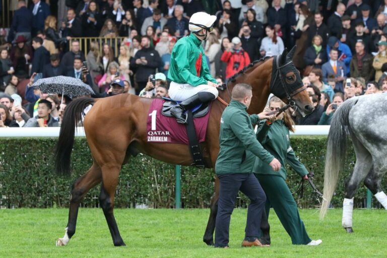 Arc-Starter Zarakem läuft in Zukunft in Australien