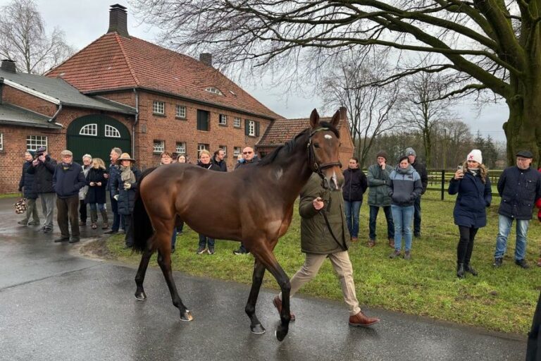 Fantastic Moon-Präsentation: Veranstaltung läuft, Live-Eindrücke auf Instagram