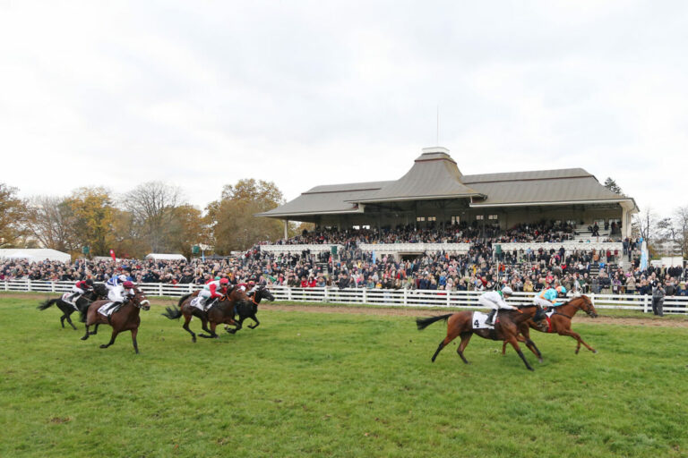 Das sind alle Sieger der Wahl der Besten in „Galopp Intern“