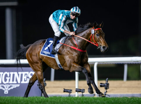 Romantic Warrior (Foto: Hong Kong Jockey Club)