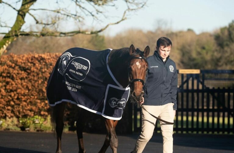 Ein Besuch in Coolmore – Das ist der Sponsor des Kölner Klassikers