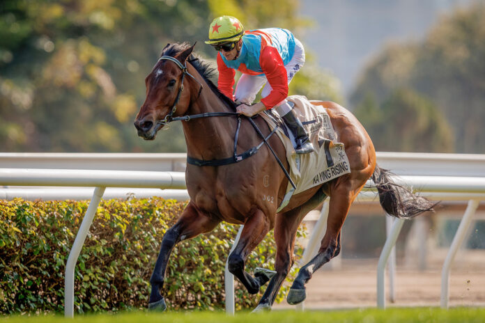 Ka Ying Rising gewinnt den Centenary Sprint Cup Foto: hkjc.com