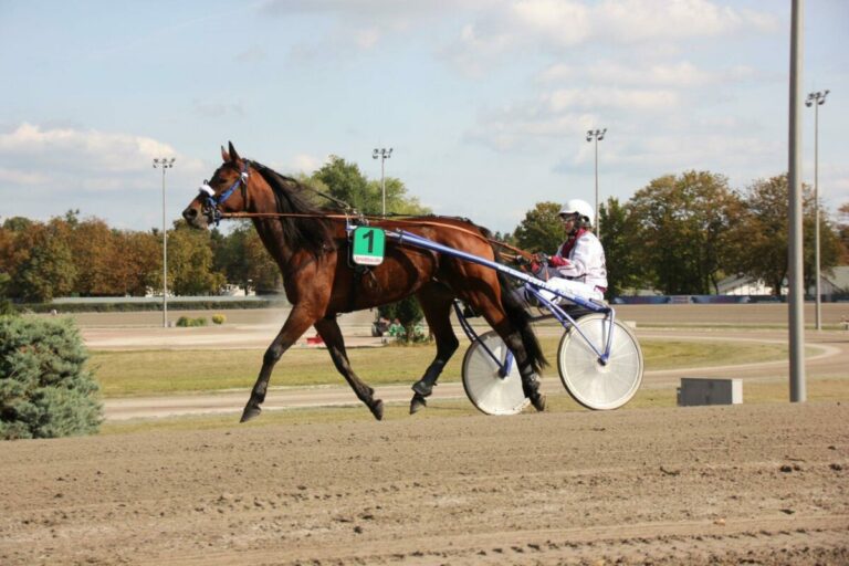 Vom Trab in den Galopp – Lea Holtermann nun Besitzerin bei den Galoppern