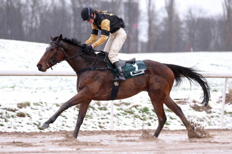 Nächster Favoritensieg: Auch Aurum Sky siegt in Wambel