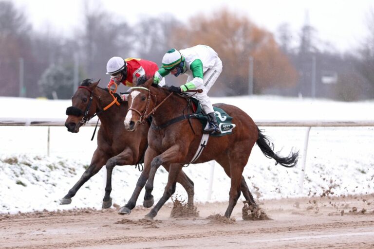 Mist of Lir auch beim zweiten Start für Angermann nicht zu schlagen