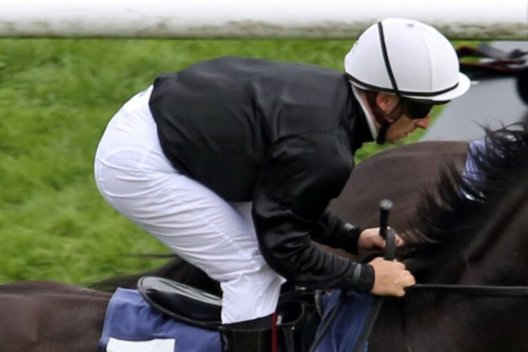 Rainer Krapp-Rennfarben sollen zurück auf die Rennbahn