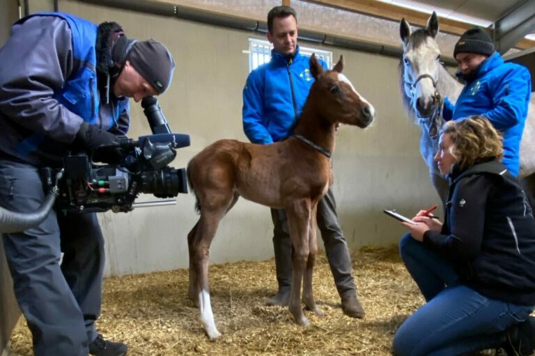 Freitag 19 Uhr: Der MDR berichtet aus dem El Sur Stud