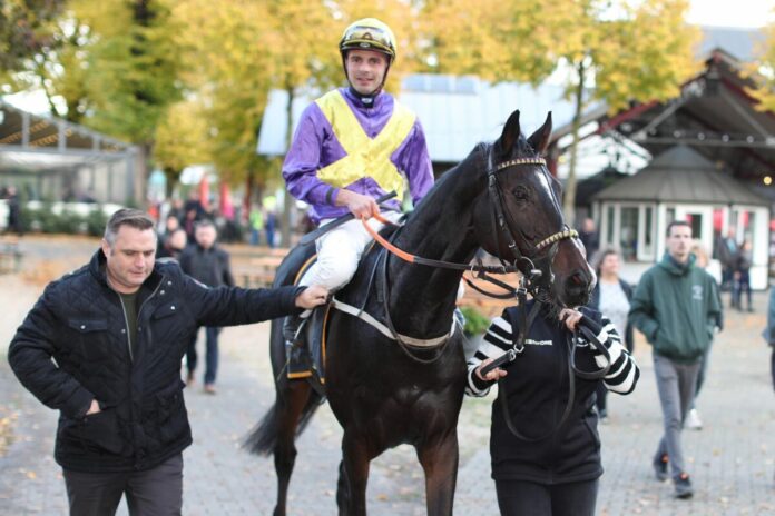 Kevin Braye im Sattel von Walid mit Trainer Gerald Geisler (li.)