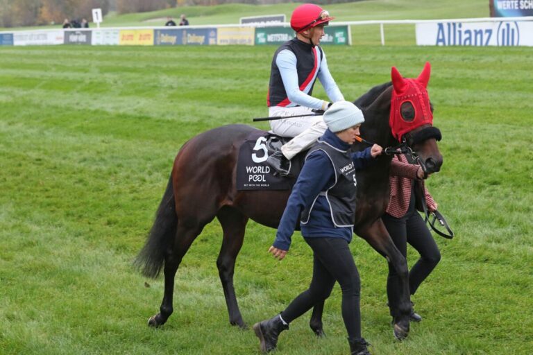 Straight: Nach Riad auch Dubai? Weißmeier-Stallparade gibt Aufklärung