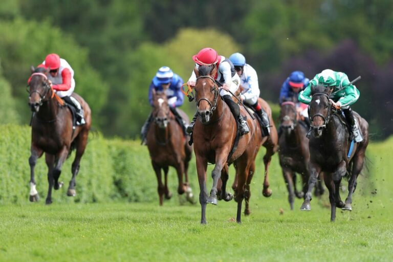 Fünf Renntage im Krefelder Stadtwald – Start mit Dr. Busch-Memorial
