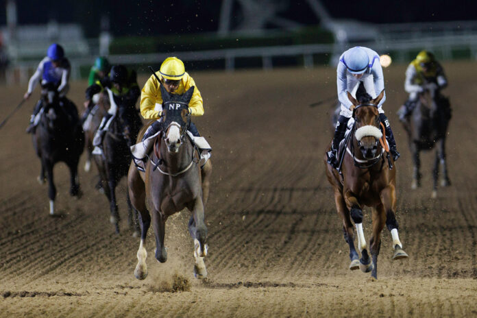 Queen Azteca (li.) gewinnt die UAE Oaks Foto: Dubai Racing Club