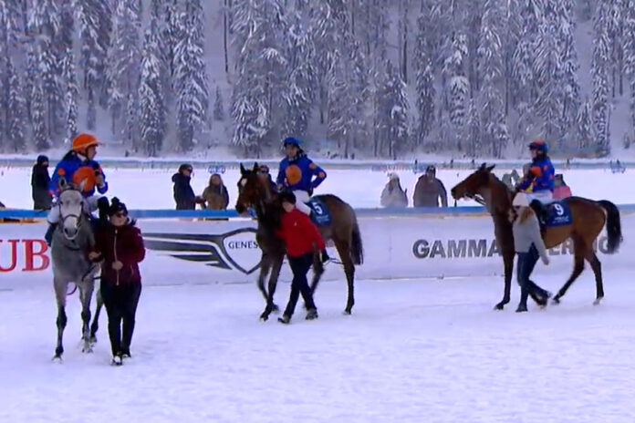 Saadi, Queroyal und Moderator (v.li.) Foto: Screenshot/White Turf