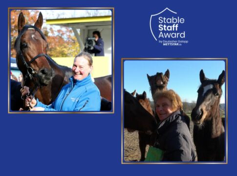 Stable Staff Award 2024