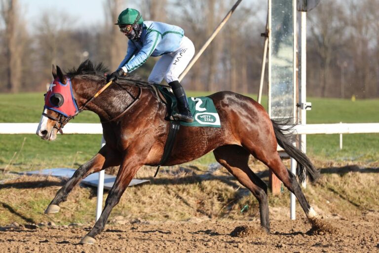 Stern Markka Vierter im Premio Presidente della Repubblicca