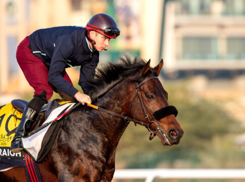 Straight in Riad Foto: The Saudi Cup