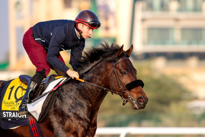 Straight in Riad Foto: The Saudi Cup