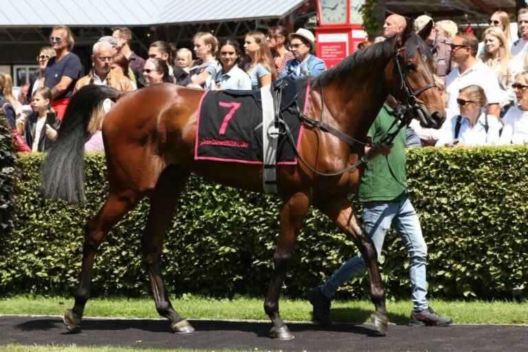 Endlich wieder True Tedesco – Suborics-Schützling siegt