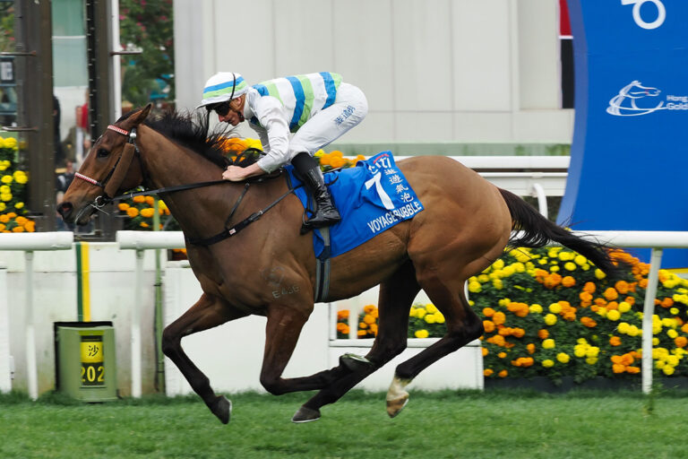 Voyage Bubble Foto: hkjc.com (Archiv)