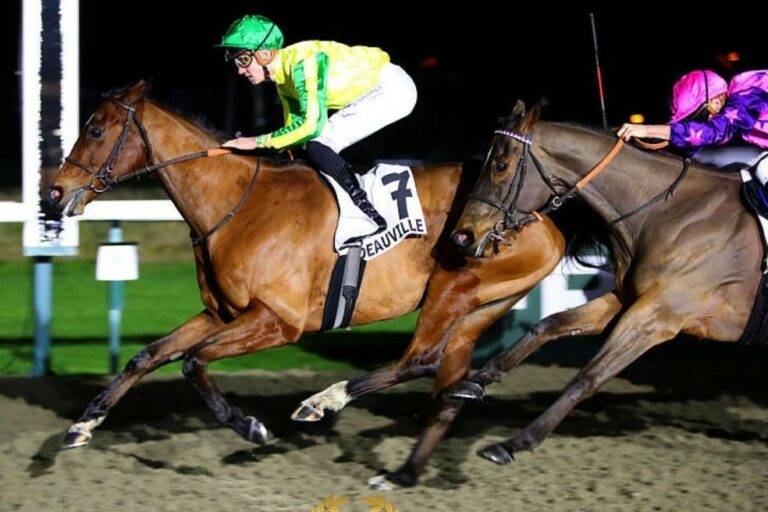 Endgültig! Nabunga verabschiedet sich heute von der Rennbahn – Vierter!