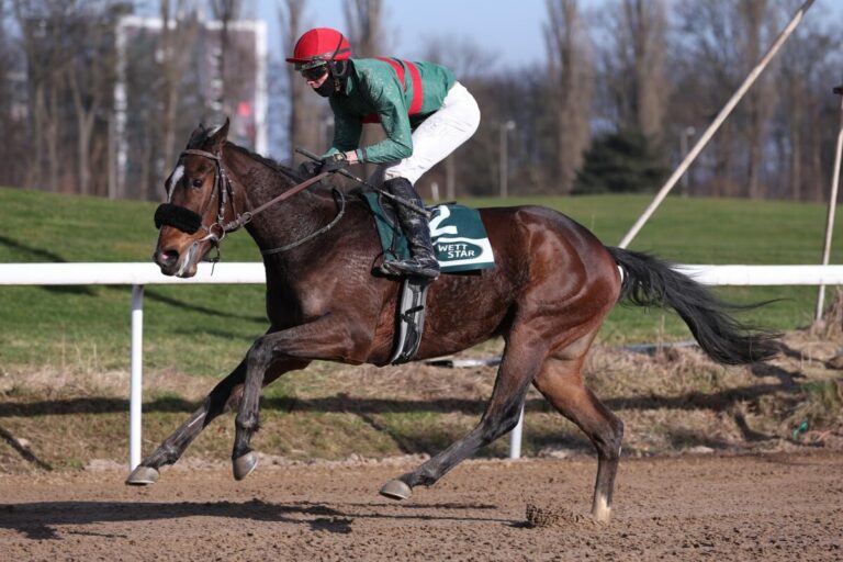 „Busch“ kann kommen: Dreijähriger Namaron geht wieder spazieren