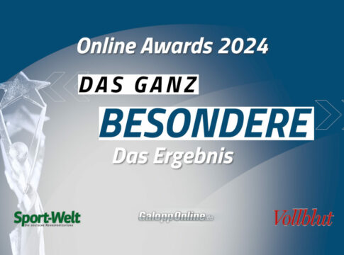 online-awards-2024_titelbild_4zu3_besonders