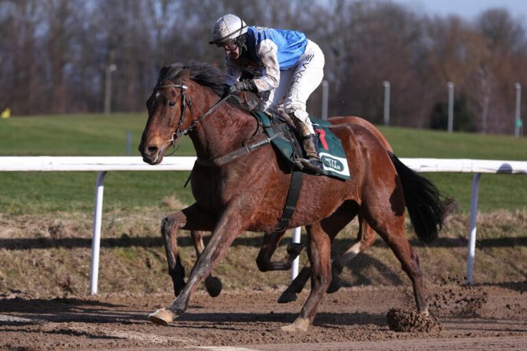 „Gutes Gefühl, gut geatmet“ – Außenseiter Slay The Dragon siegt