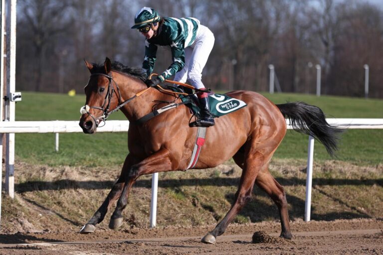 Dortmund-Auftakt: Malacova schlägt mit Kistenritt Tex Air zu