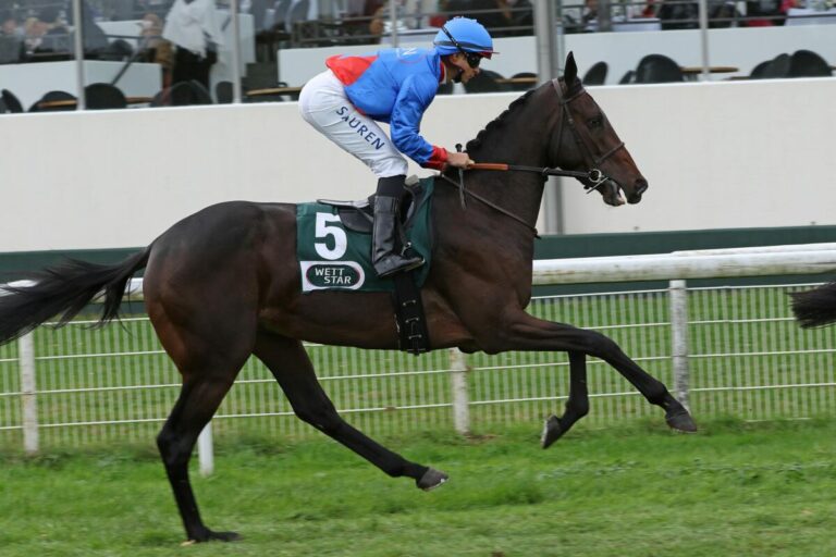 Noch sieben Kandidaten für den Mehl-Mülhens-Stiftung – 63. Preis von Europa