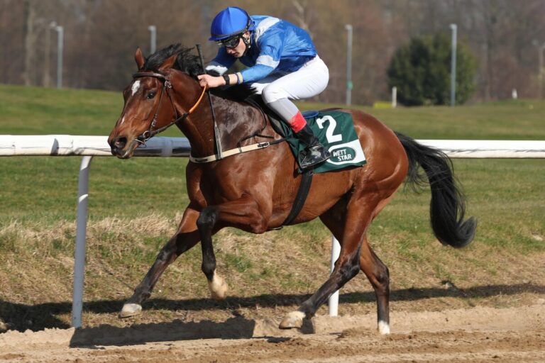 In der Viererwette – Belgischer Favoritensieg, MacRedmond zum Zweiten