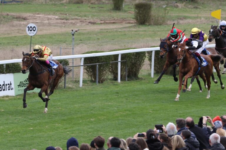 Amely Adventure siegt unter Bertrand Flandrin