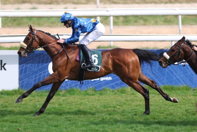 Trendbarometer: Wer gewinnt das Japan Racing Association Derby-Trial?