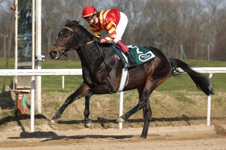20 Jahre nach Sauer-Sieg im Boxsport-Rennen haut Best Lightning alle K.O.