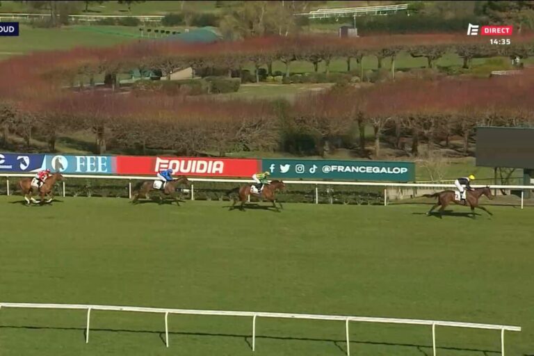 Stuten mit Diana-Nennung machen auf sich aufmerksam