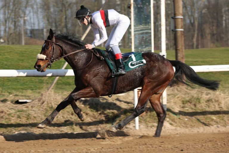 Dortmunder in Dortmund – MacRedmond verwandelt Kistenritt