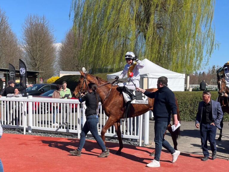 Rossig! Ellerstina reist nicht nach Mailand