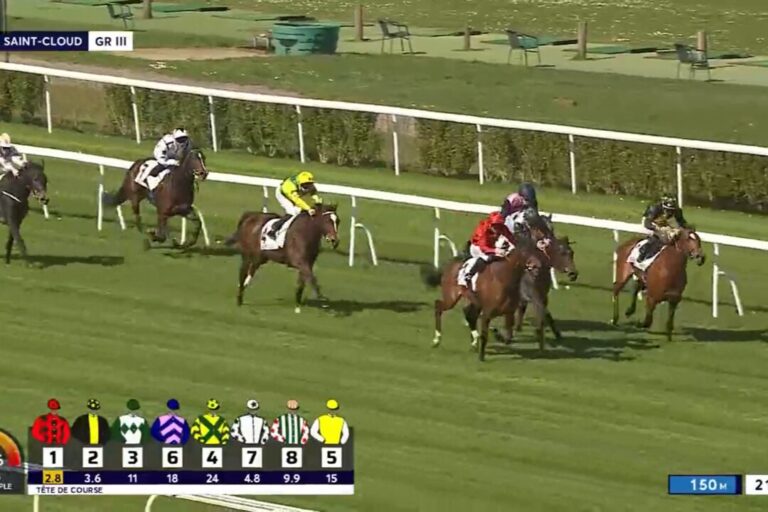 Achtung: Gruppe-Platzierte Kiamba soll nach Düsseldorf kommen!