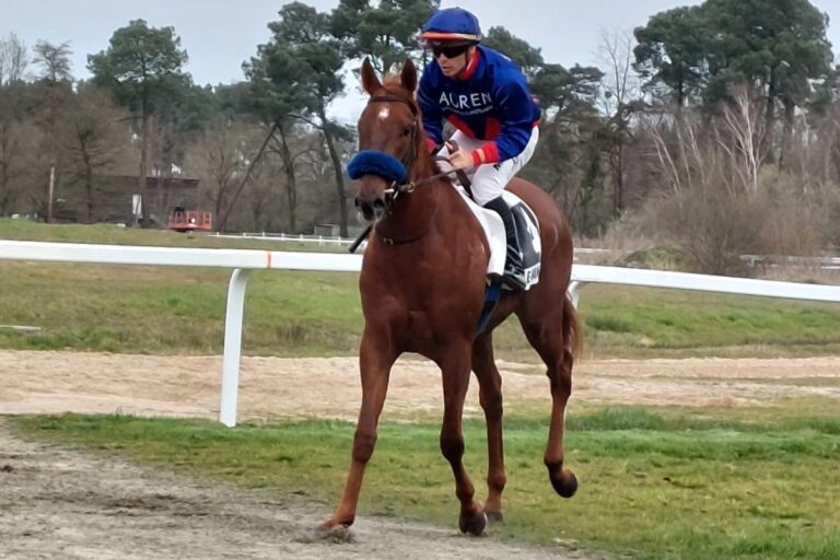 Grewe weiter top: Last Man Standing zu stark in Le Mans