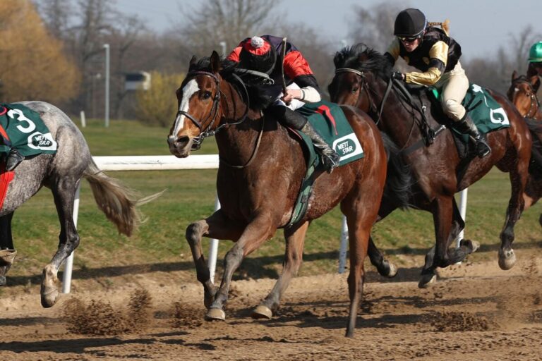 Jetzt ein Außenseiter-Schocker – Sacher ist die Kirsche auf der Torte
